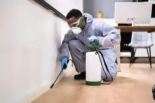 pest control Paradise
